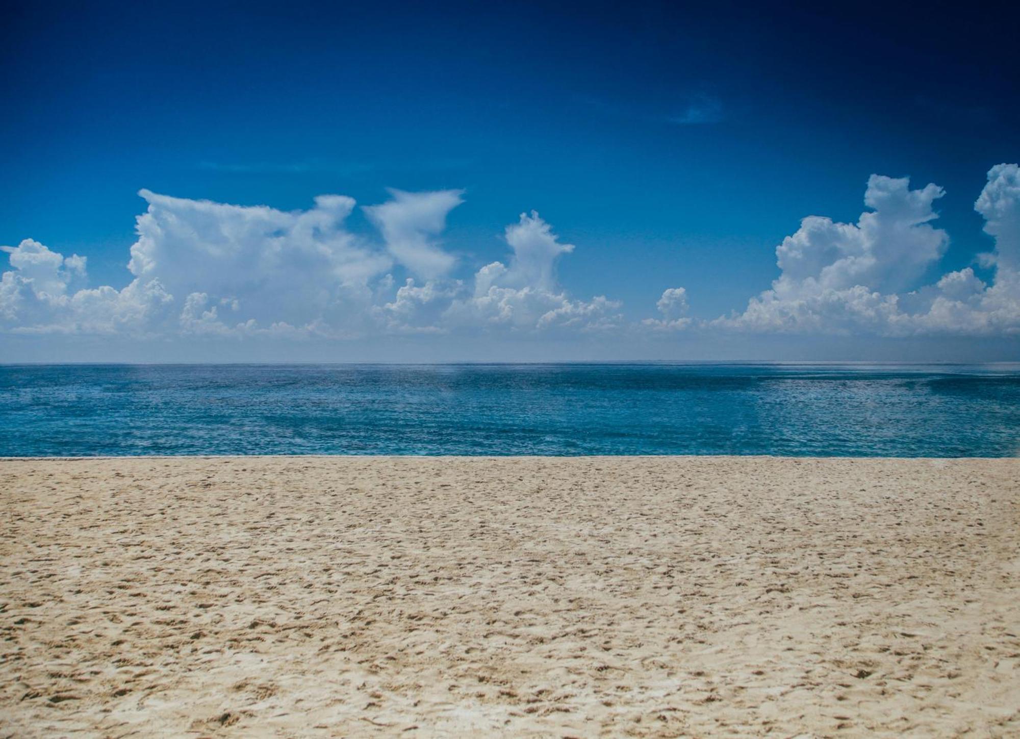 Villa Le Dune A Few Steps From The Sandy Beach Of Maria Pia 알게로 외부 사진